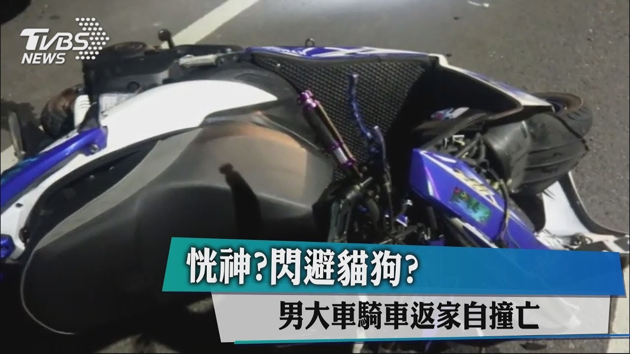 恍神？閃避貓狗？　男大生騎車返家自撞亡
