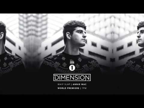 Dimension - Whip Slap (Annie Mac Premiere)