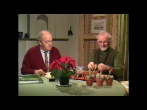 Mitt i naturen 1983-12-14