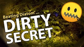 Jawbreaker &amp; Bounce Shroom! No more Diatom!! (45g - 11/29/2017)