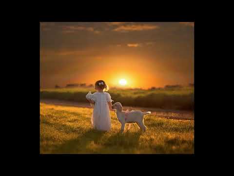 #inliebe #gebote #bleiben  Echte Liebe, Joh 15, 9-11