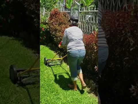 STIGA SCM 240 R Cylinder Lawn Mower video