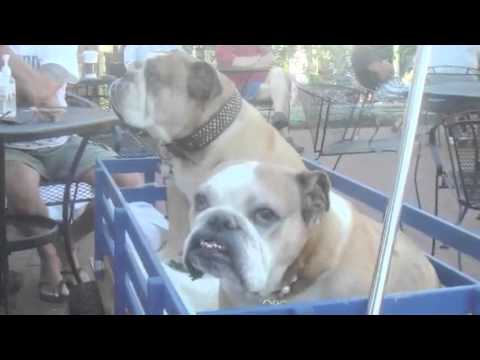 P Town 2010 My Home from Home.m4v