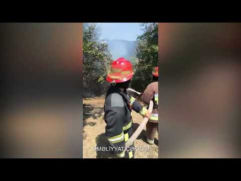 FHN Mətbuat xidmətinin məlumatı (video)