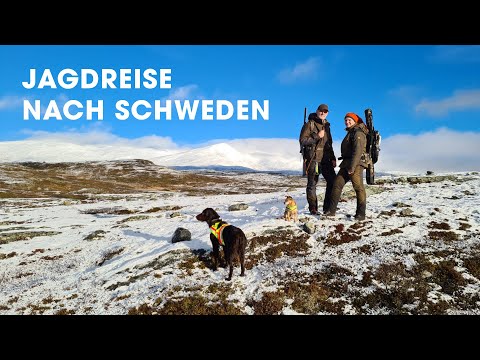 Jagdreise nach Schweden | #teamwinz