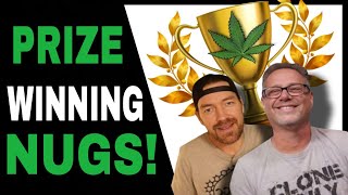 What You Need to Know Before Entering Your Next Cannabis Cup