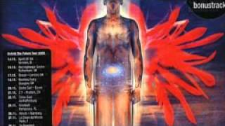 The Flower Kings - The Devil's Danceschool