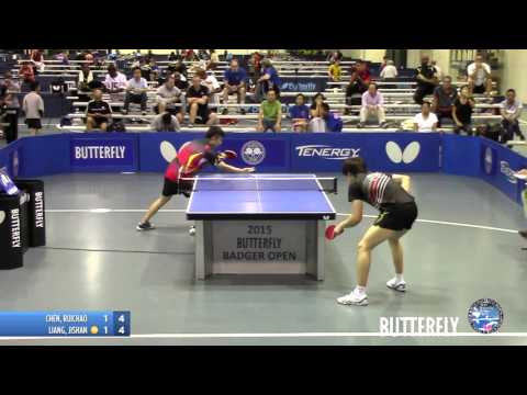 2015 Butterfly Badger Open - Open Singles Final