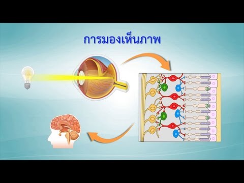 มายอร์ก้าวิจารณ์โรงแรมพรู Zbіlshennyaสมาชิกครีม