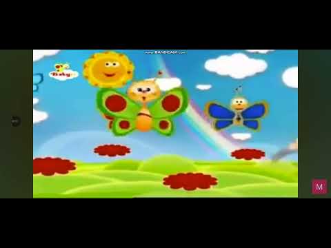 2026 m. sausio 11 d.