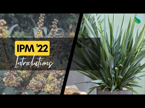 Plantipp introductions IPM 2022