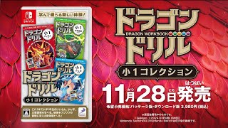Dragon Workbook Collection 1 video 1