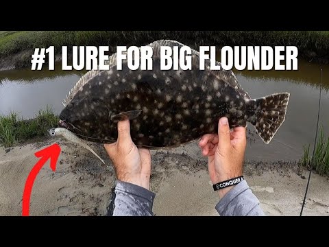 The #1 Lure For BIG Flounder In Spring