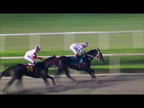 230402 c13 SHOOTER  (BRZ)