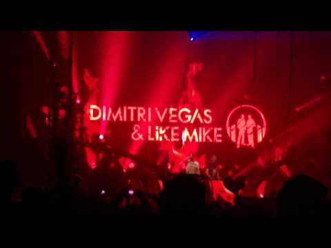 Tomorrowland Dimitri Vegas et Like Mike