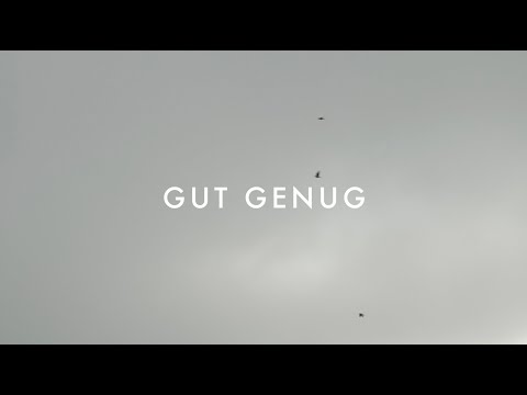 Alex Veth - Gut genug