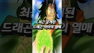 최근 공개된 드래곤 악마의열매 #onepiece #쇼츠 #원피스