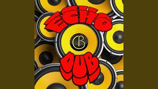 Echo Dub (Space Mix by Shaun Viola)