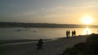 preview picture of video 'Last Swim at Lagoa de Obidos (part3-HD)'