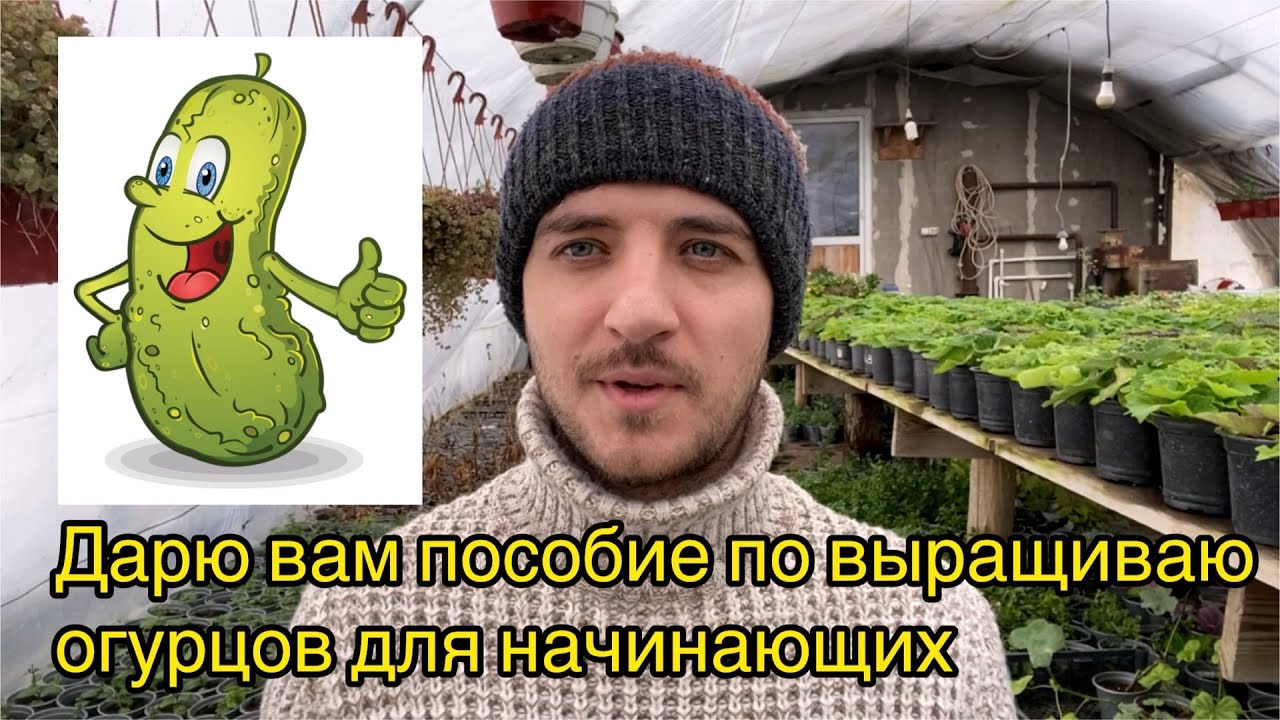 Сад и огород