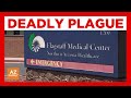 1st plague death reported in northern Arizona since 2007 - Arizona’s Family (3TV / CBS 5)  1st plague death reported in northern Arizona since 2007