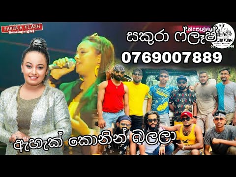 Ashawee (අශාවේ) with සකුරා ෆ්ලෑෂ් 0769007888 @koushiperera1013