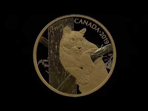 SOLD OUT! 99.999% Pure Gold Coin - Canadian Wildlife Portraits: The Cougar