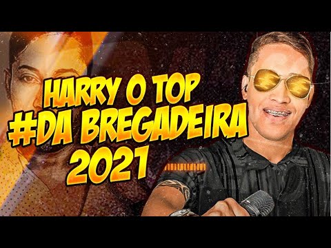 HARRY O TOP DA BREGADEIRA ADVANCED 2021 - CD BREGADEIRA EQUALIZADA DE VERÃO 2020