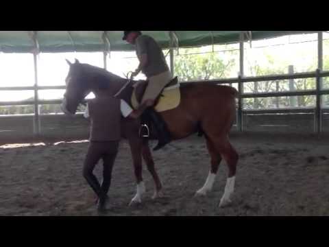 Enzo forgelli mentre sale a cavallo