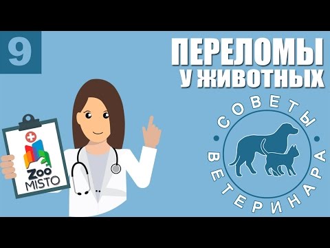 Эндометриоз боль в пояснице по утрам Озонотерапия для коленного сустава
