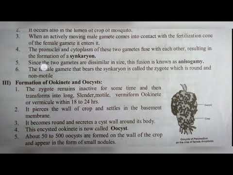 Inter 2nd year SYNAPTIC TRANSMISSION ZOOLOGY