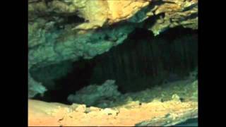 preview picture of video 'Cenote Diving in the Yucatan Mexico'