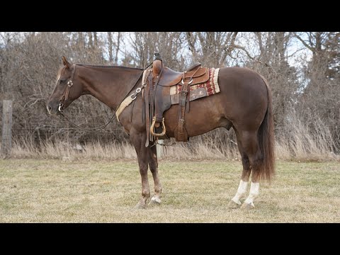youtube preview