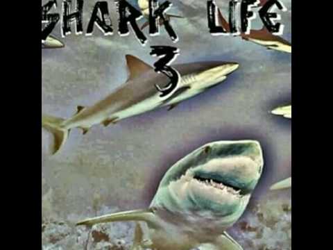 Young Wa ft Capo Ray & Rida Zilla  New Orleans