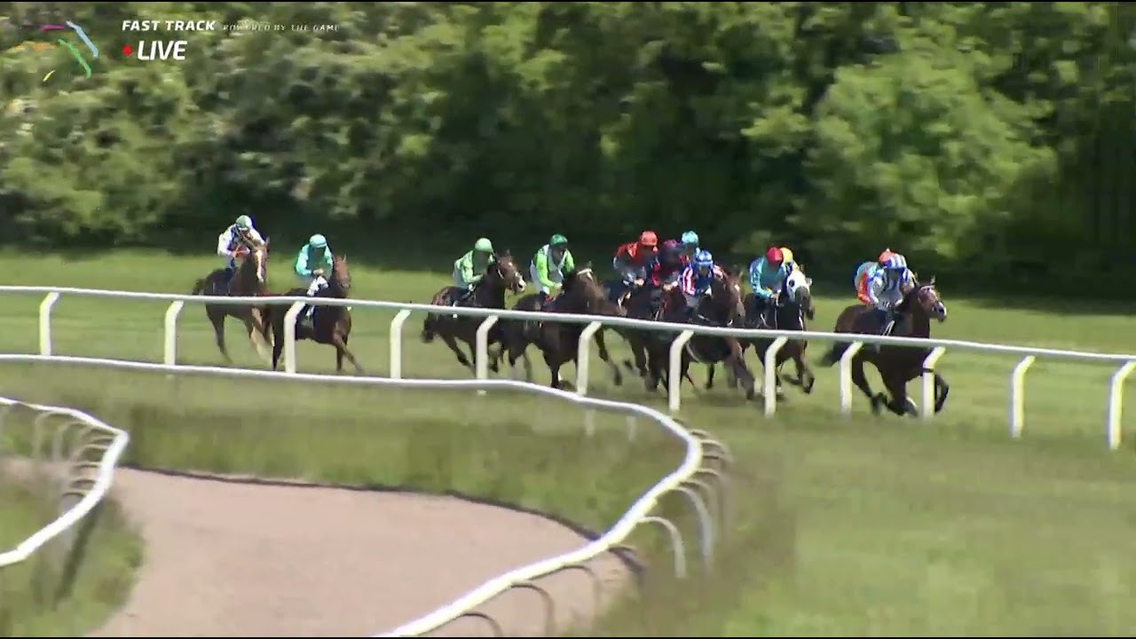 Dansk Breeders' Cup 2022