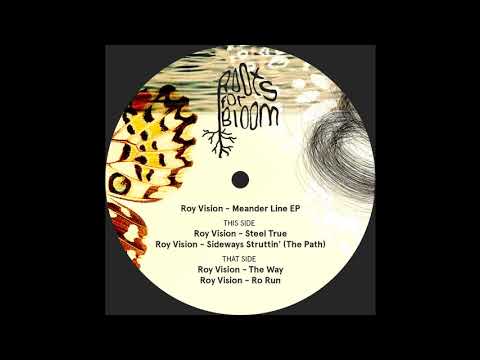 Roy Vision - Steel True