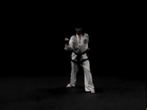 Won-Hyo ITF Taekwondo 6th Gup pattern Rear view