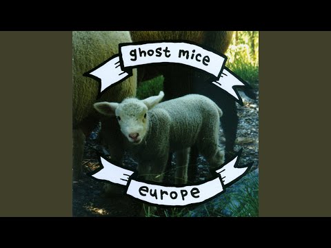 France - Ghost Mice