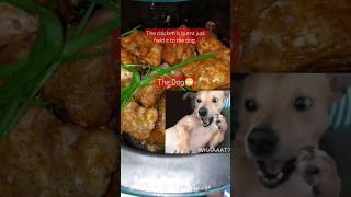 #memes #dogmemes #foodmemes #relatable #embershorts #shorts