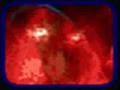 Butthole Surfers Pepper Uncensored Full Version