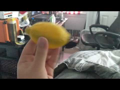 Jonny Greenwood signature lemon