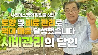 샤인머스켓의 달인들 6편 : 억대 매출 달성한 비료 시비와 토양 관리 노하우! 고품질 재배 비결 공개