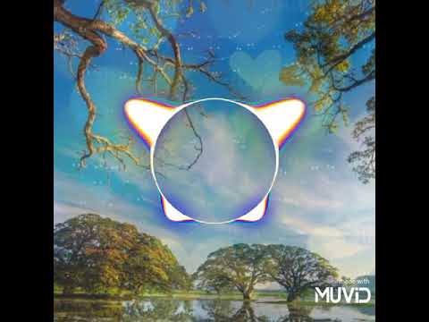 Nalla male kelle | Dilnuk Ranmila ft Anjali Rajkumar | MUVID