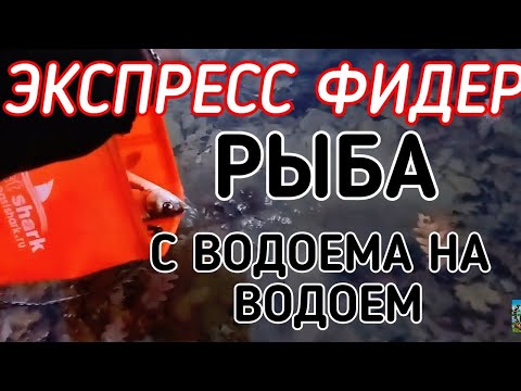 КОРОТКАЯ РЫБАЛКА НА ФИДЕР / ПЕРЕВОЗИМ РЫБУ НА ДРУГОЙ ВОДОЕМ / РЫБАЛКА НА ФИДЕР ЗИМОЙ В КРЫМУ.