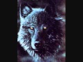If I was a Wolf.wmv