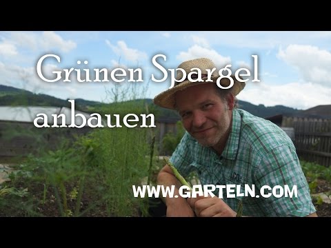 , title : 'Grünen Spargel selbst anbauen'
