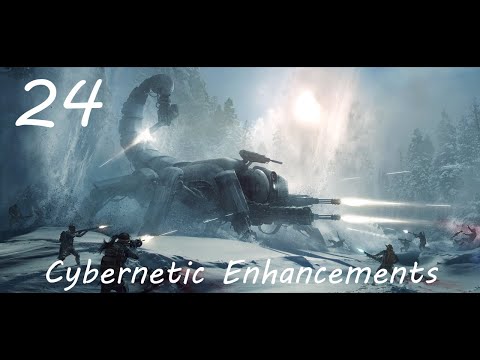 (24)CYBERNETIC ENHANCEMENTS: Wasteland 3