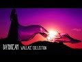 Daydream Wallace Collection (tradução) TRILHA ...