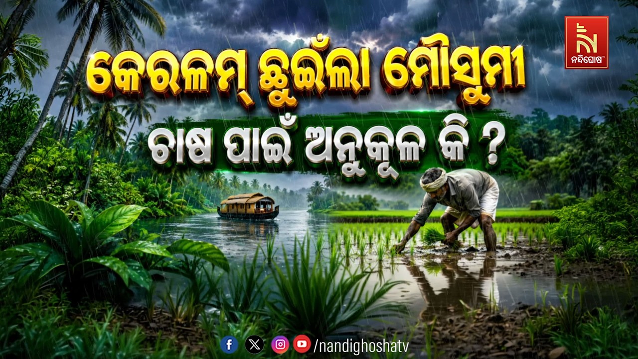 🔴Live | କେରଳମ୍ ଛୁଇଁଲା ମୌସୁମୀ, ଚାଷ ପାଇଁ ଅନୁକୂଳ କି ? | NandighoshaTV