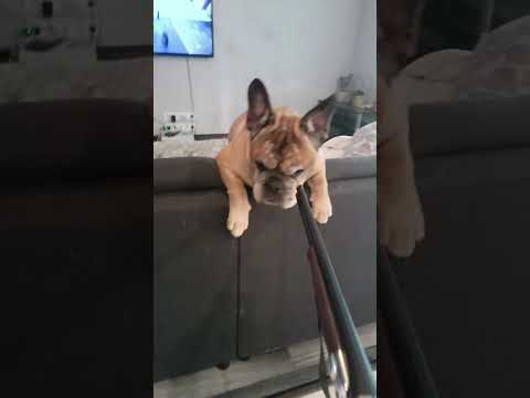 23 октября 2024 г.